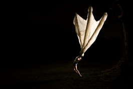 Jasmine Ellis Projects